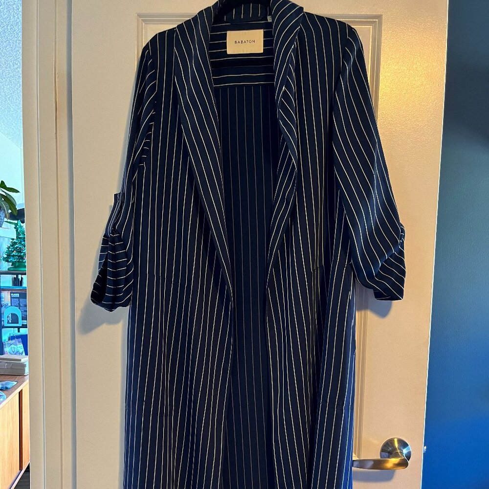 Aritzia Babaton Navy Pinstripe Duster Blazer